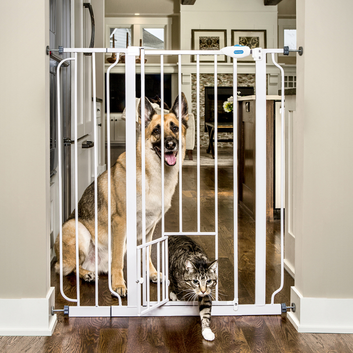 The 6 Best Baby Gates for Stairs and Homes