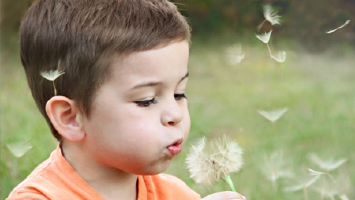 Florida Child Care Costs By City Age Type