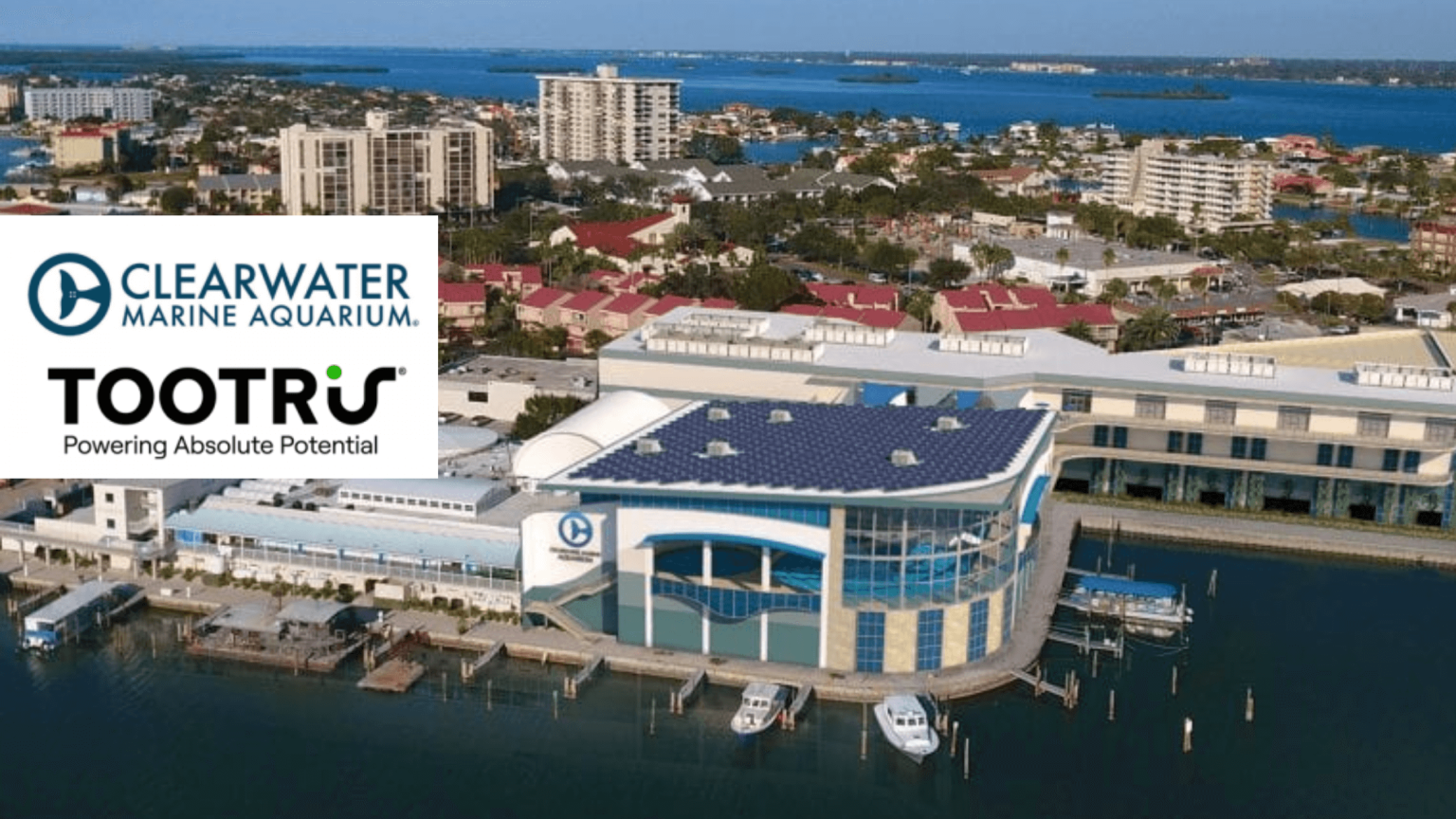 PRESS RELEASE Clearwater Marine Aquarium Dives into a New Era of