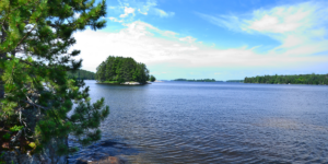 Minnesota Cost of Elder Care