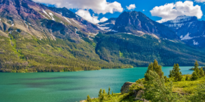 Montana Cost of Elder Care